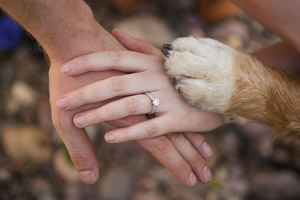 wpid-Dax-Photography-Engagement-Portrait-Missoula-Montana-3489.jpg