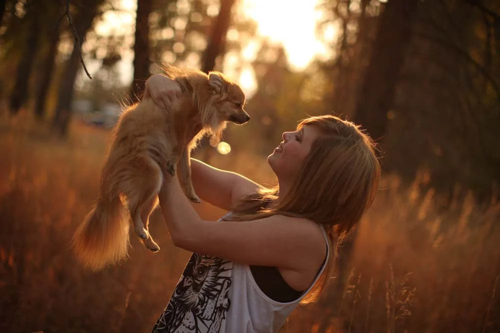 Pets playing in Montana-0807.jpg
