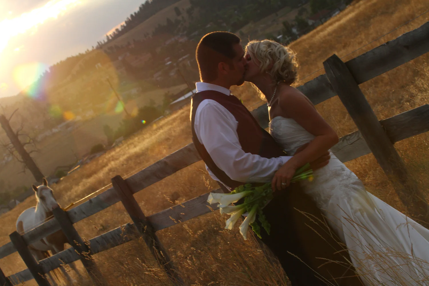 Missoula Montana Wedding Photographer-0538.jpg