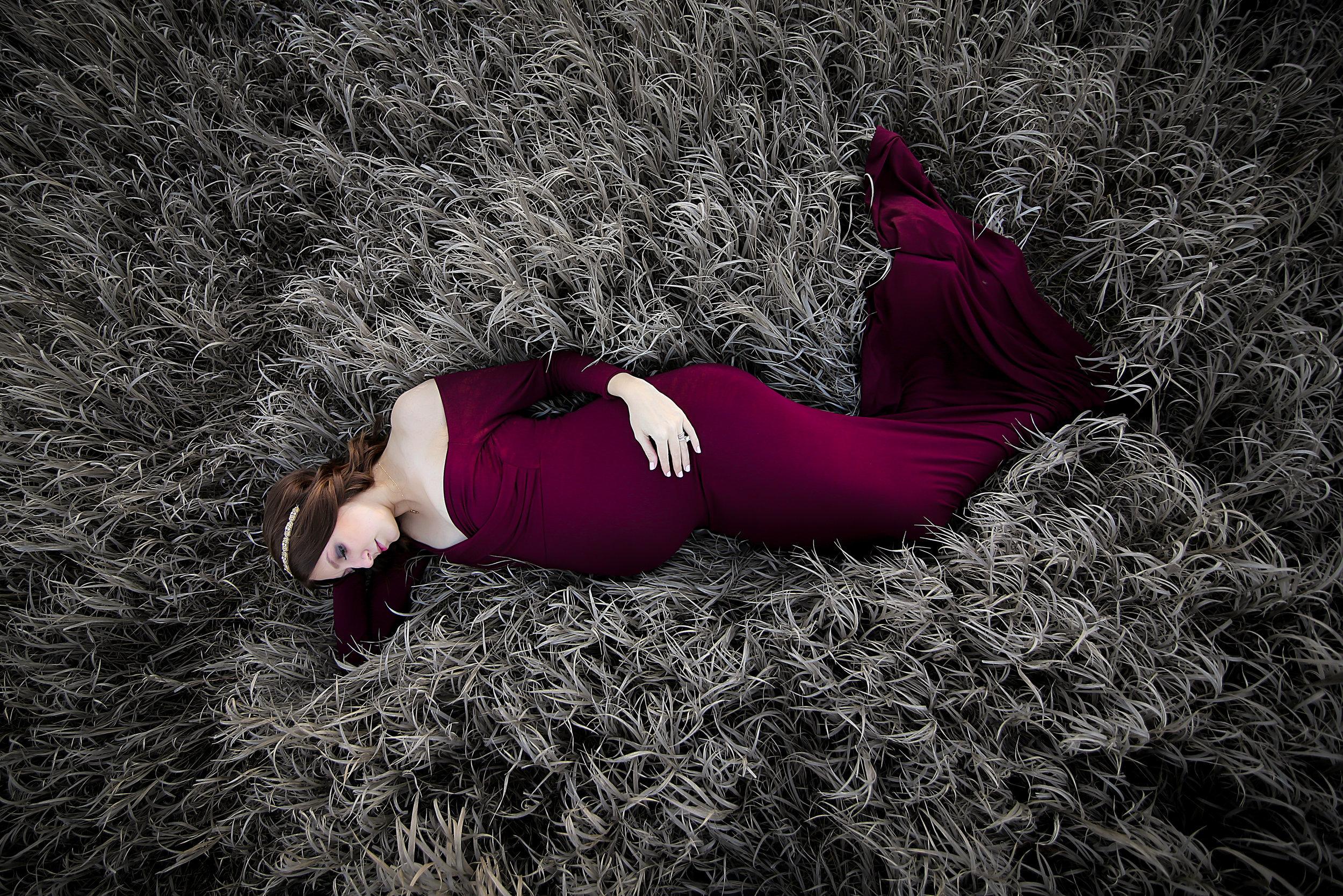 Dax Photography--2 (1).jpg