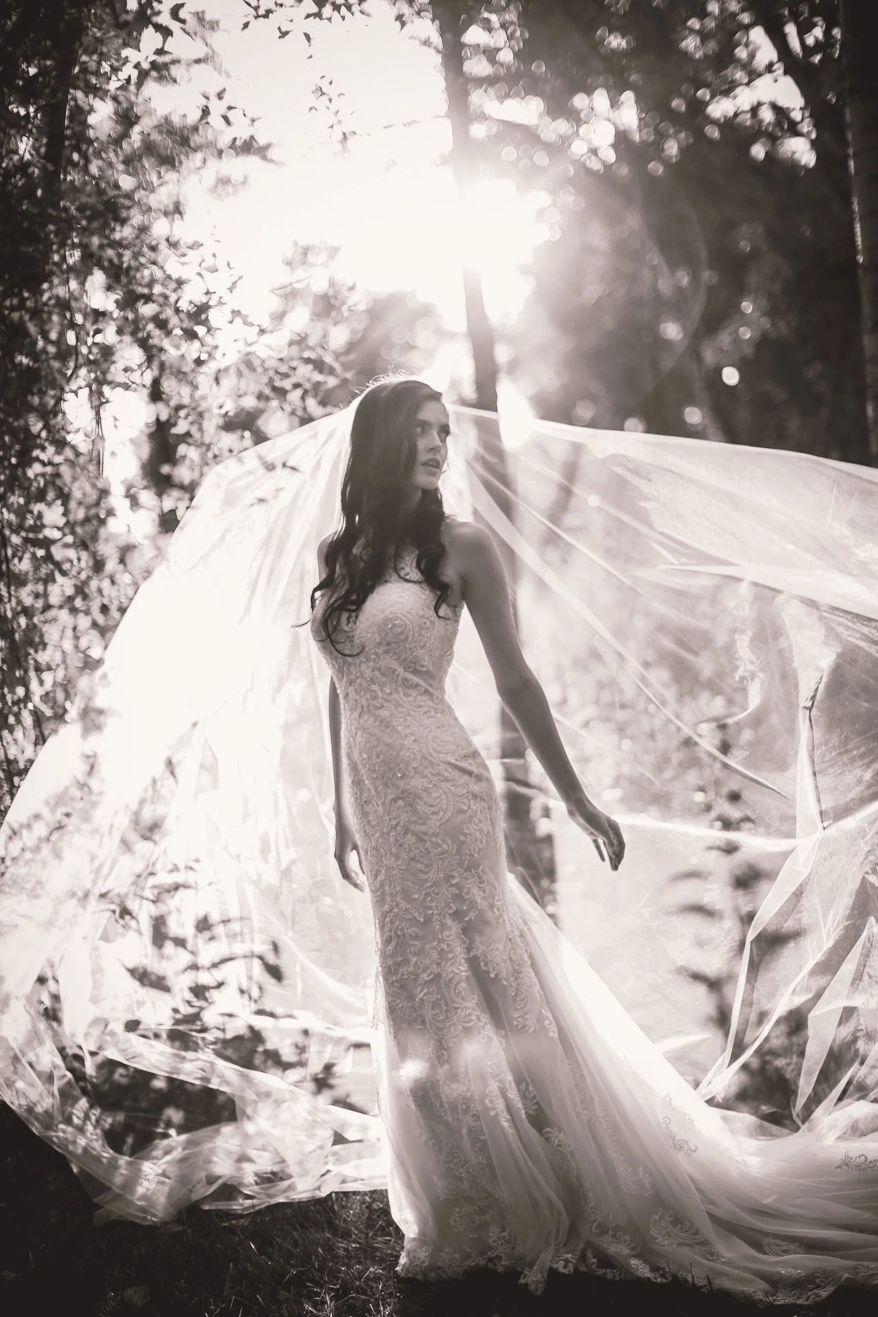 Gorgeous bride with a large veil with sun shining through it