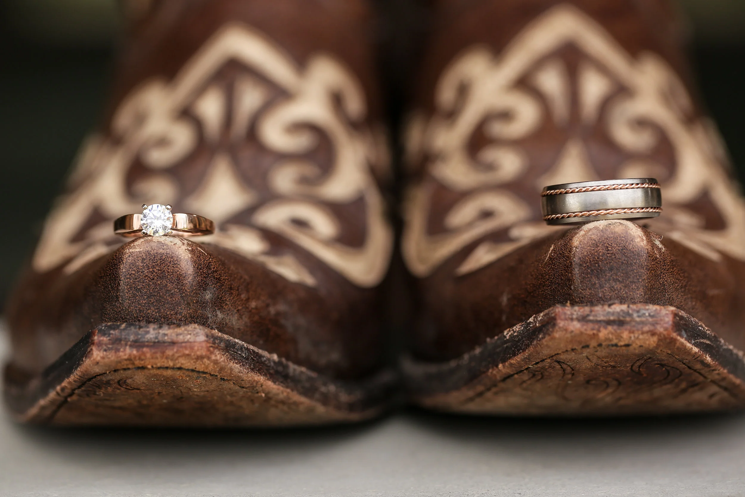 Dax Photography-0092.jpg