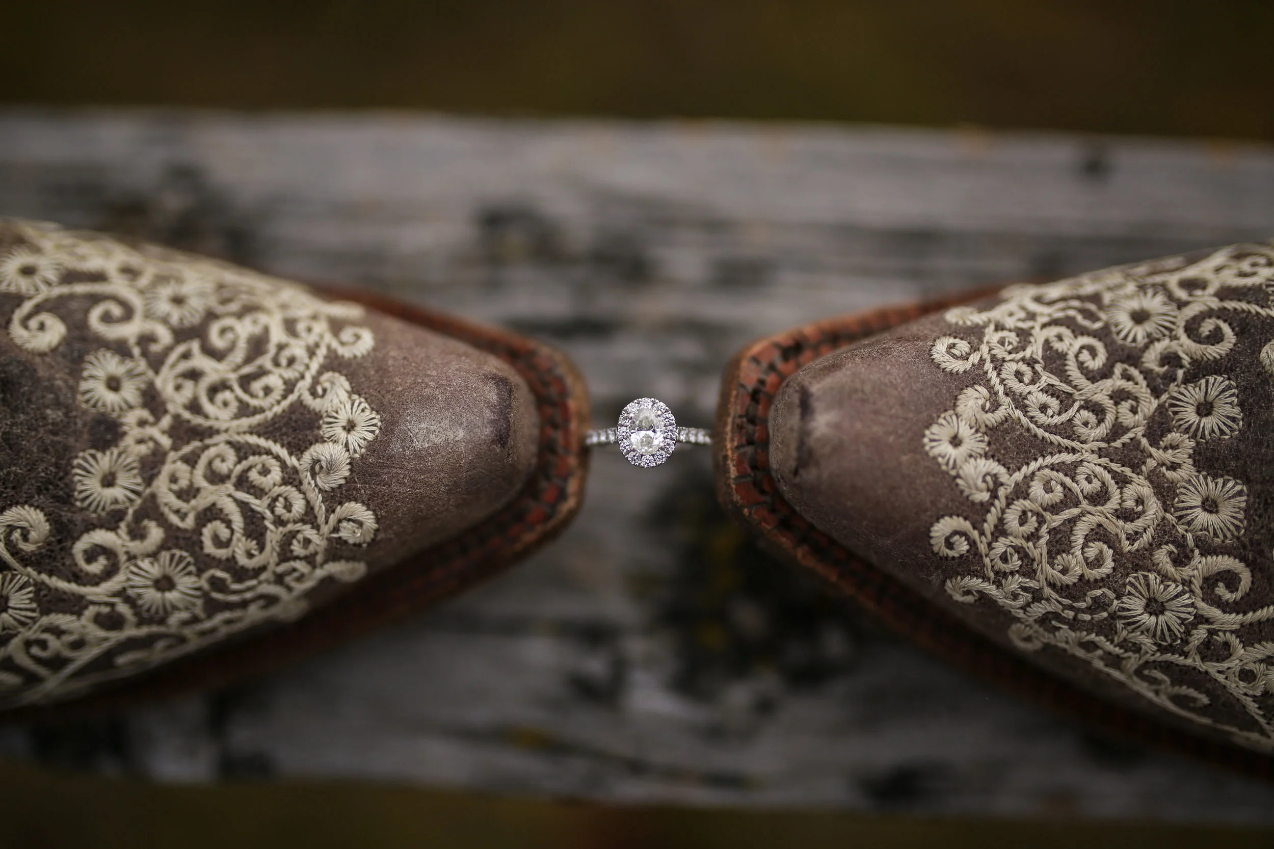 Dax Photography-7536.jpg