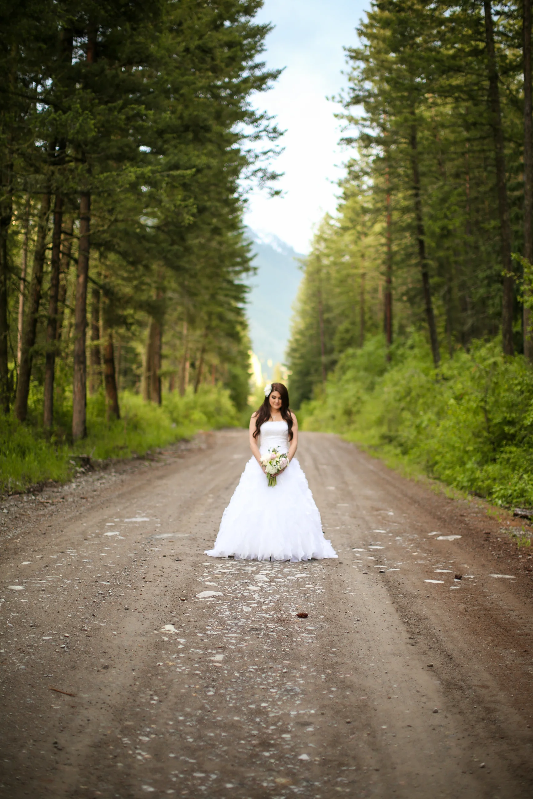 Bride on dirt road in Montana forest