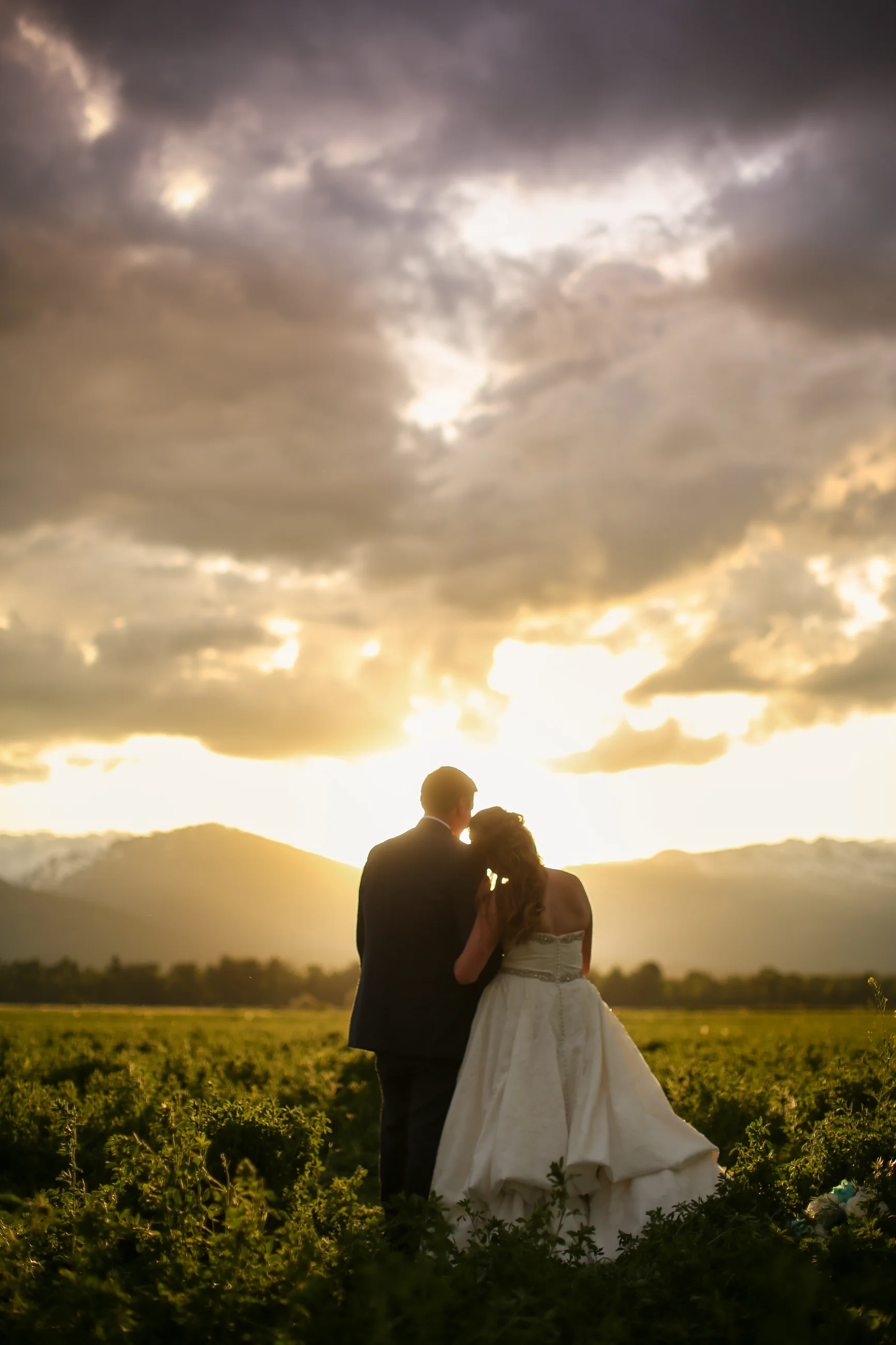 Dax Photography-6713.jpg