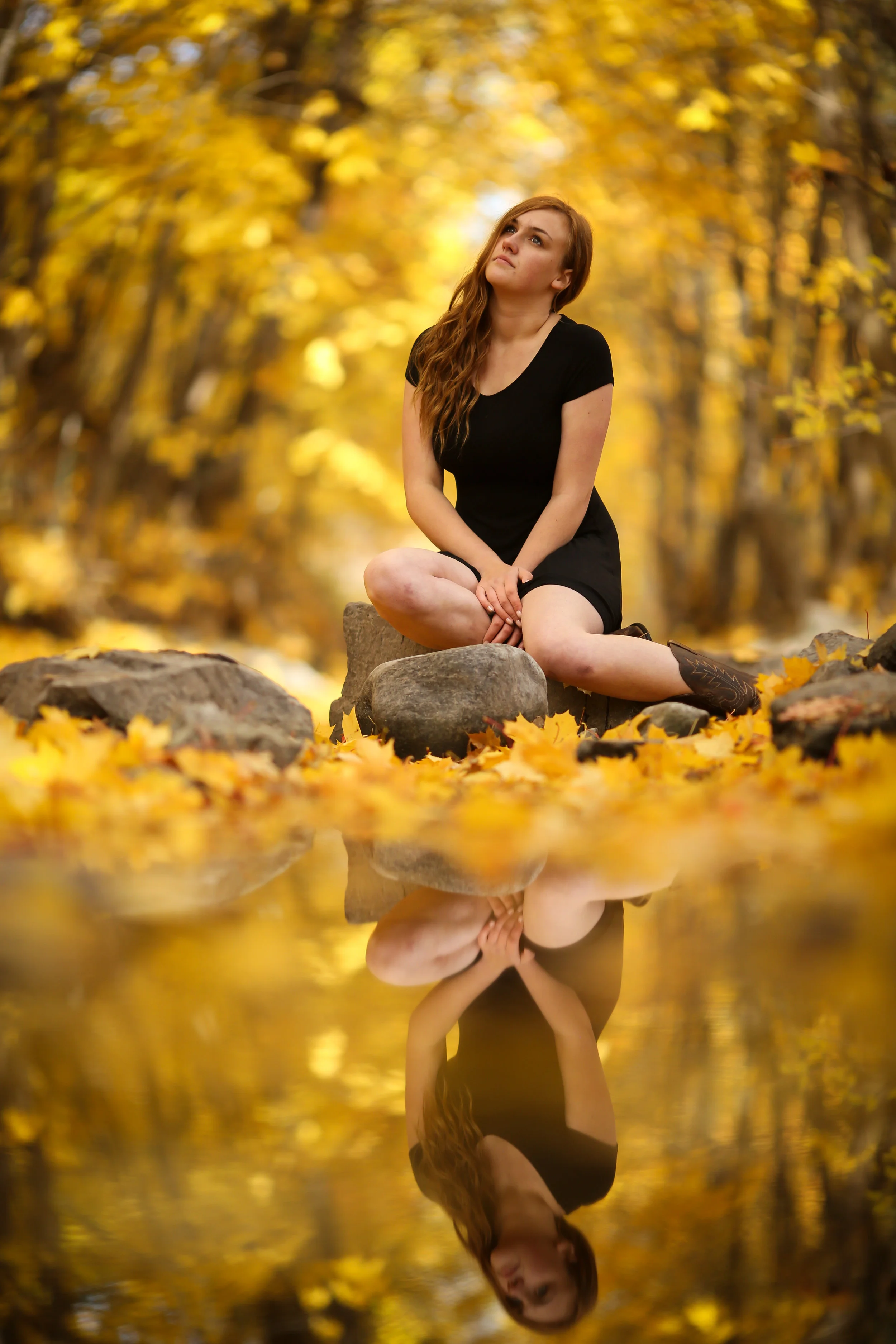 Senior portrait of Montana high school senior in black dress sitting on a rock surrounded by yellow leaves in the fall