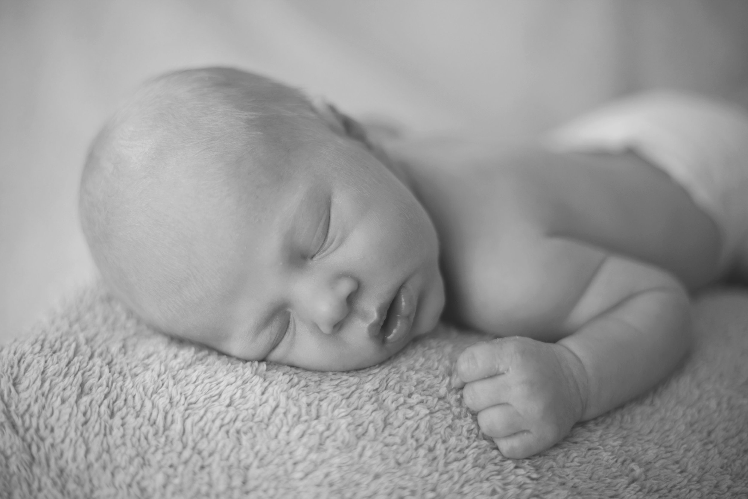 cincinnati newborn photographer 1.jpg