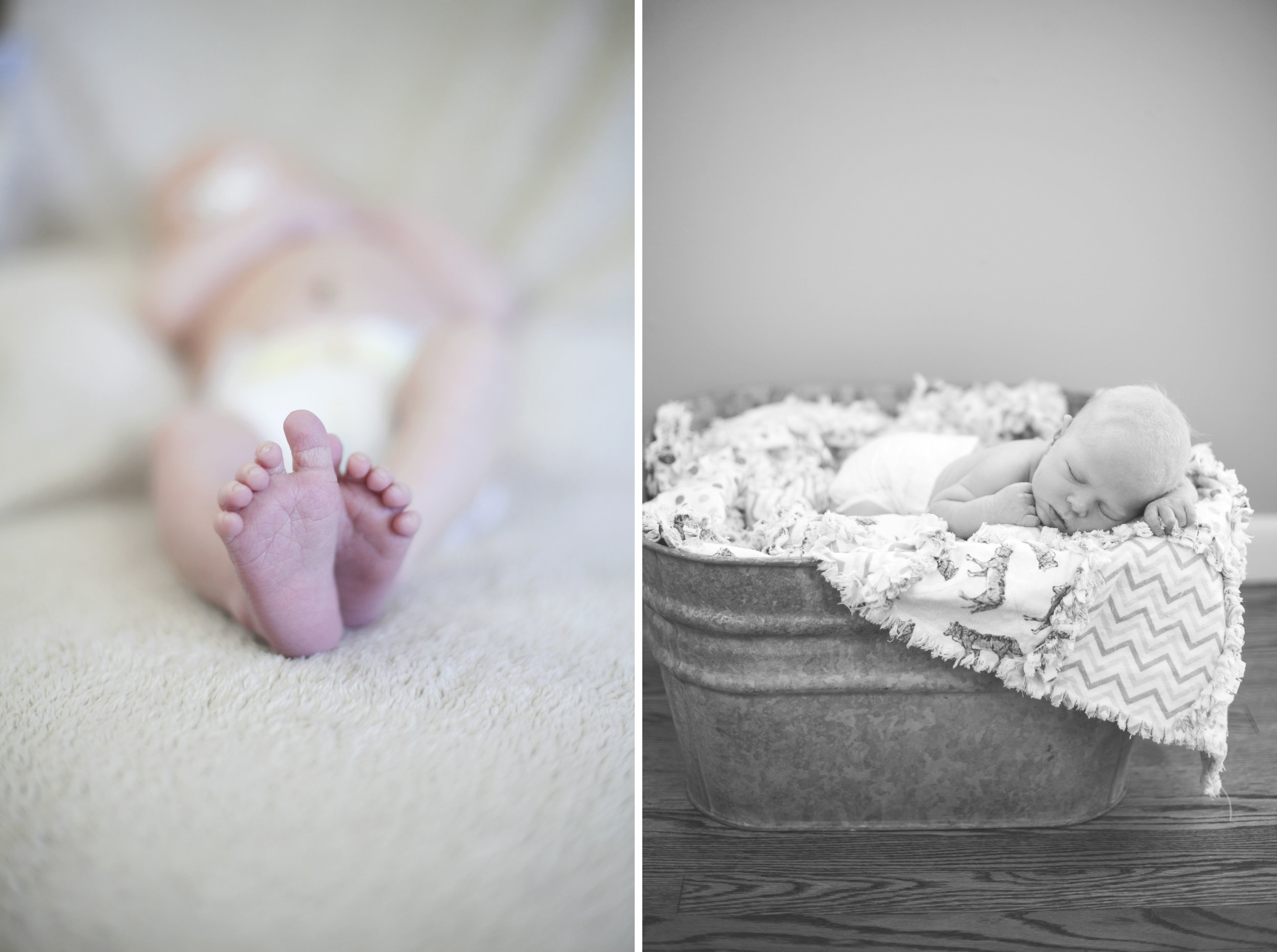 cincinnati newborn photographer 4.jpg