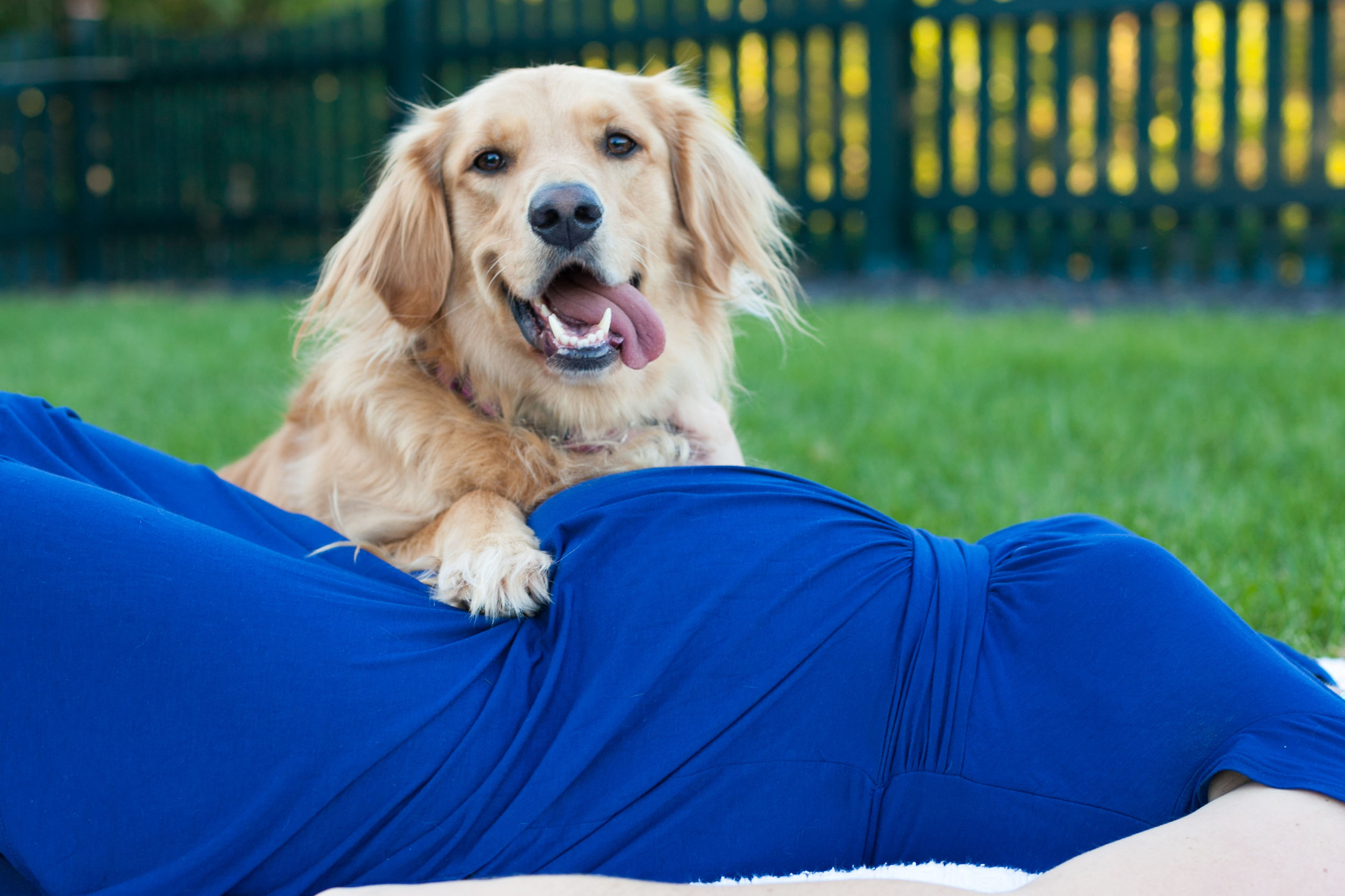 springboro ohio maternity pictures588.jpg