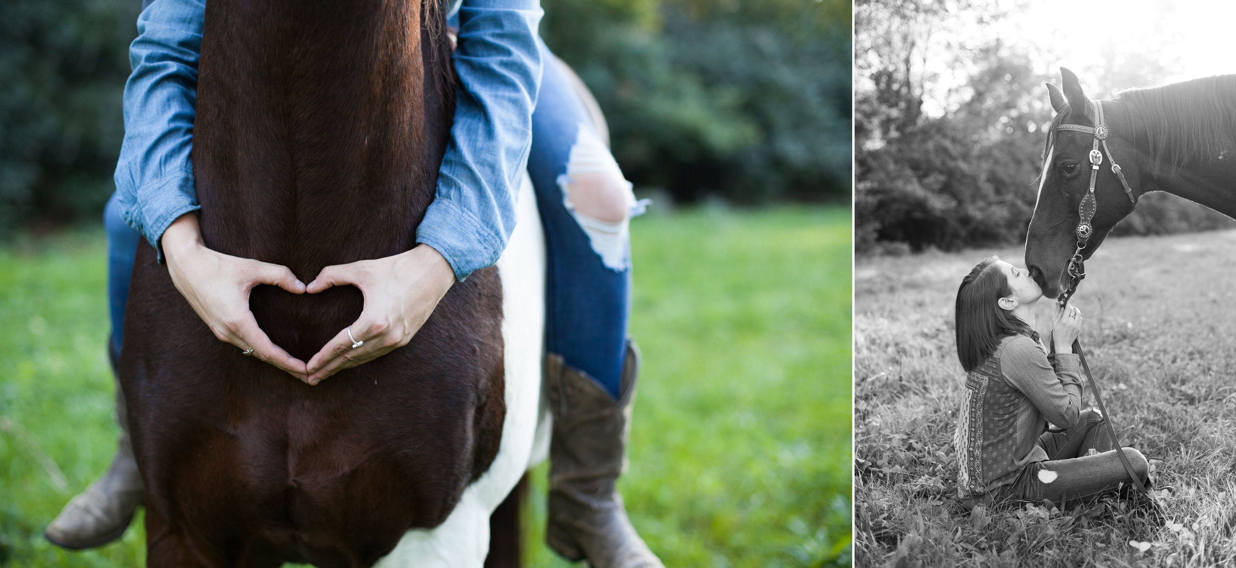 senior pictures with horses 03.jpg