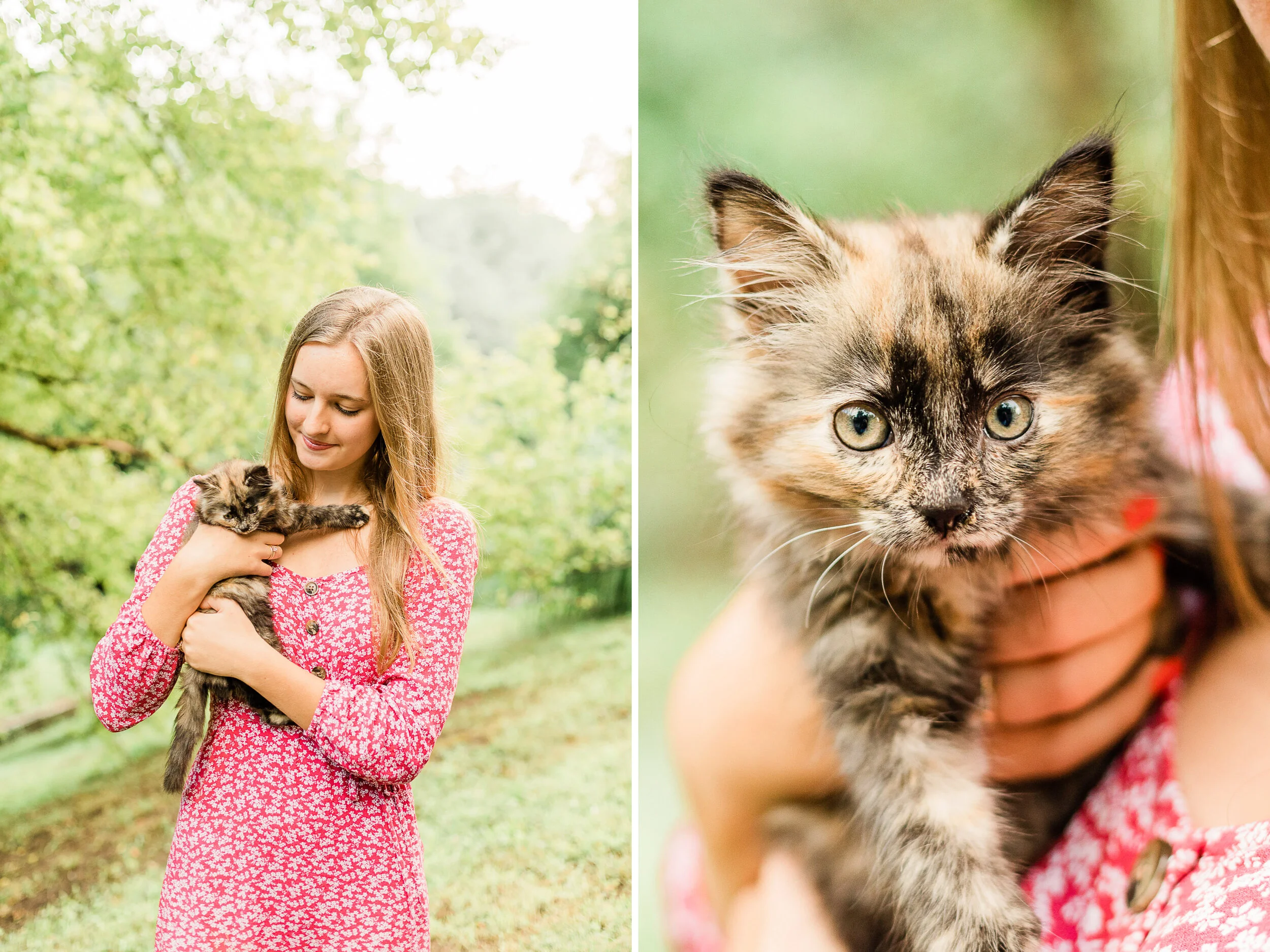 senior pictures with  a cat.jpg