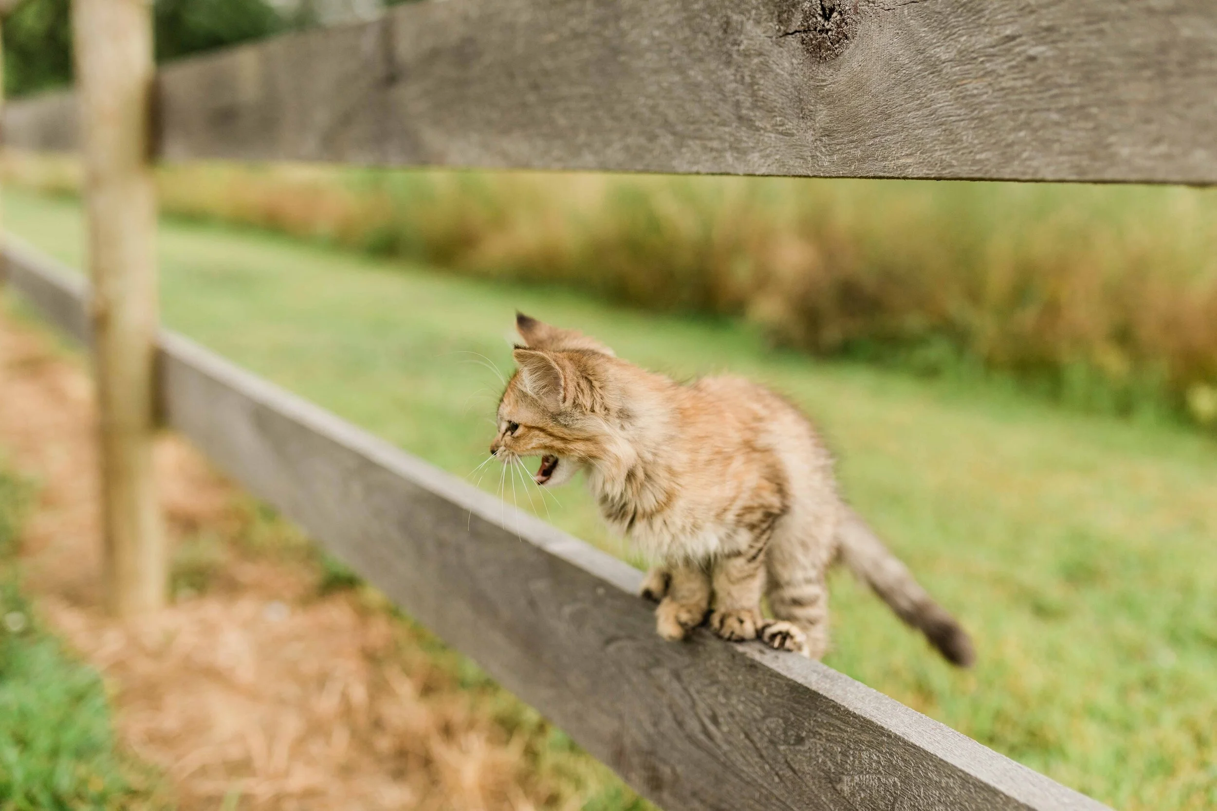 waynesville ohio photographers-7.jpg