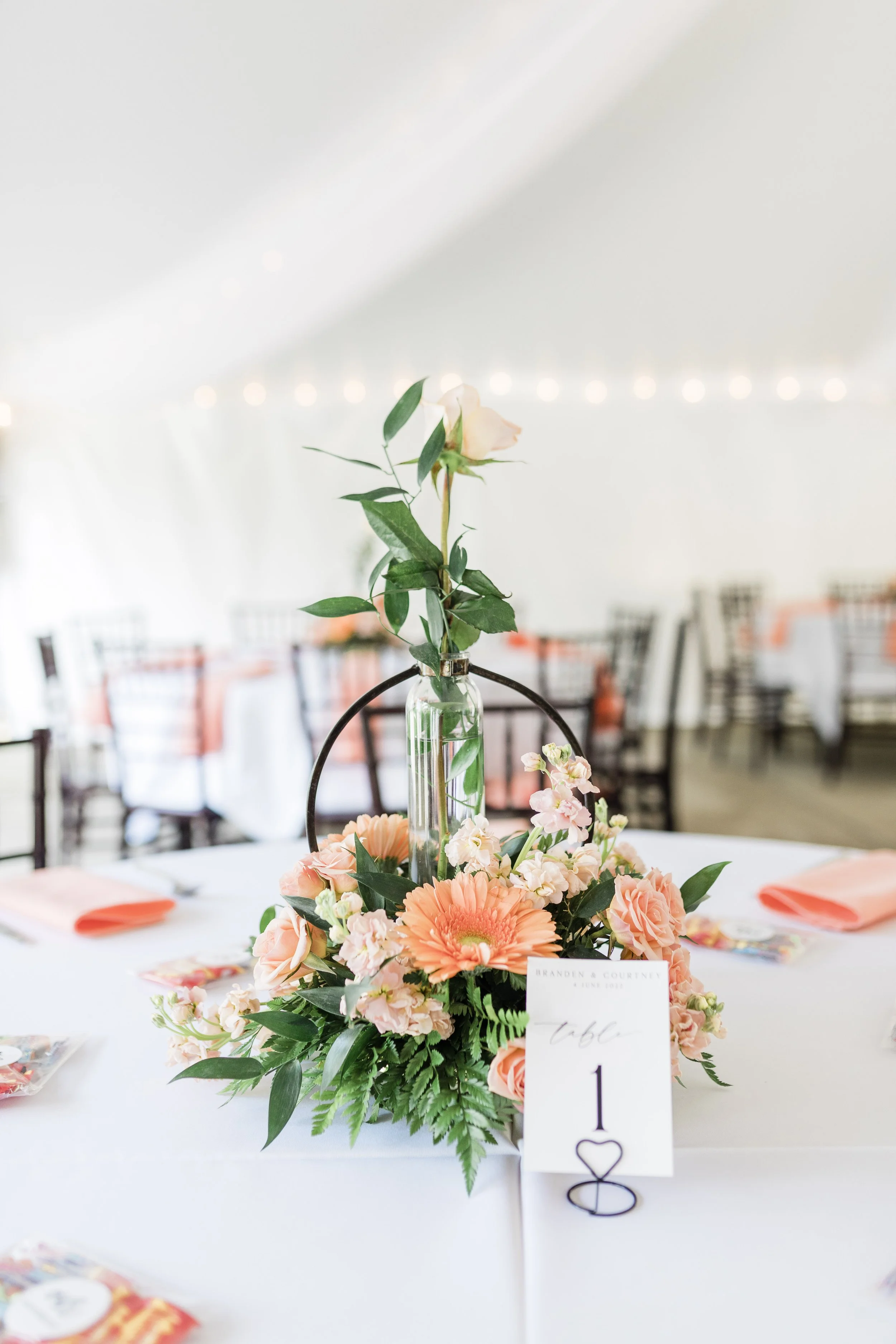 Inn at Oneonta Reception Photographer.jpg