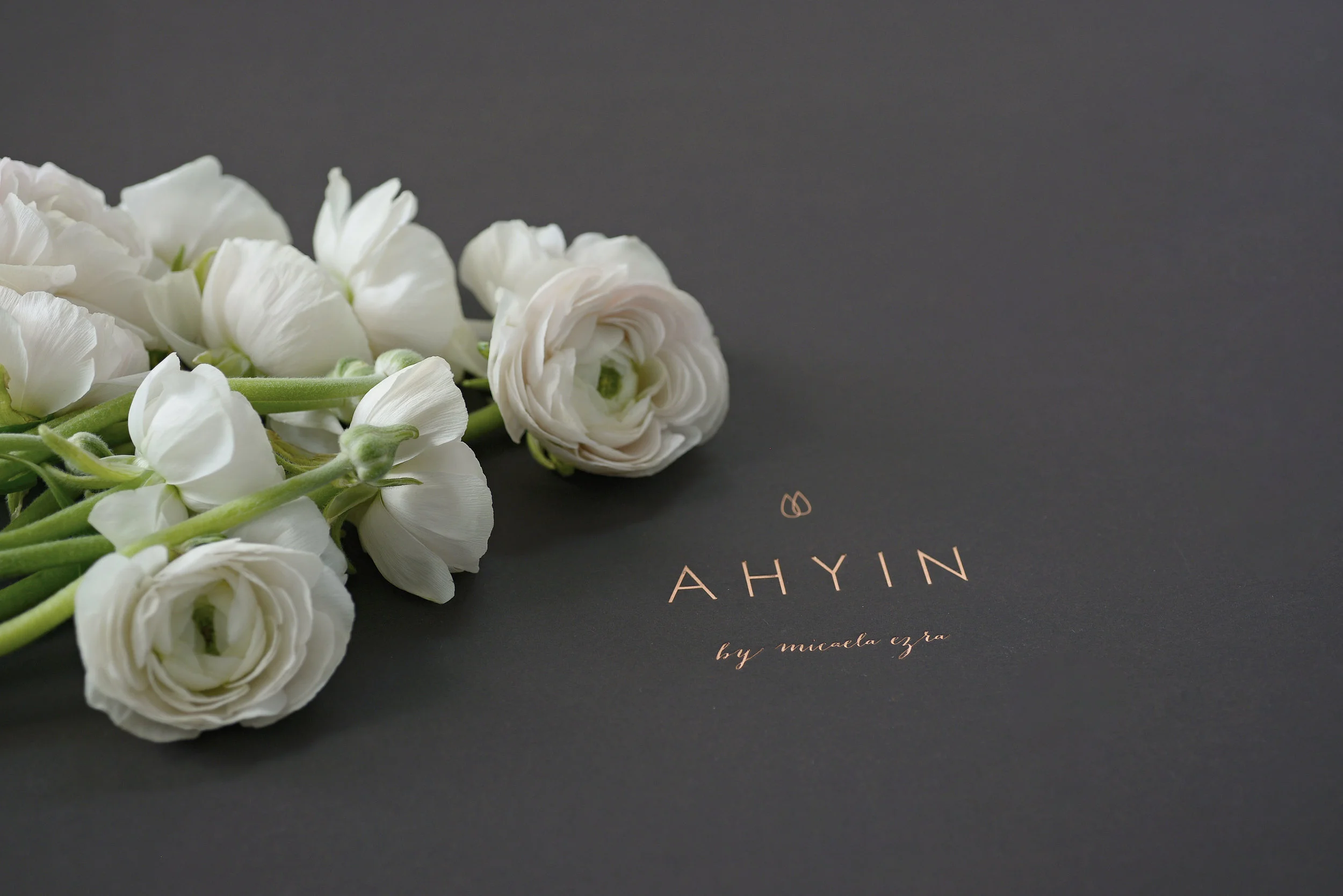 AHYIN_12216_EM7089.jpg