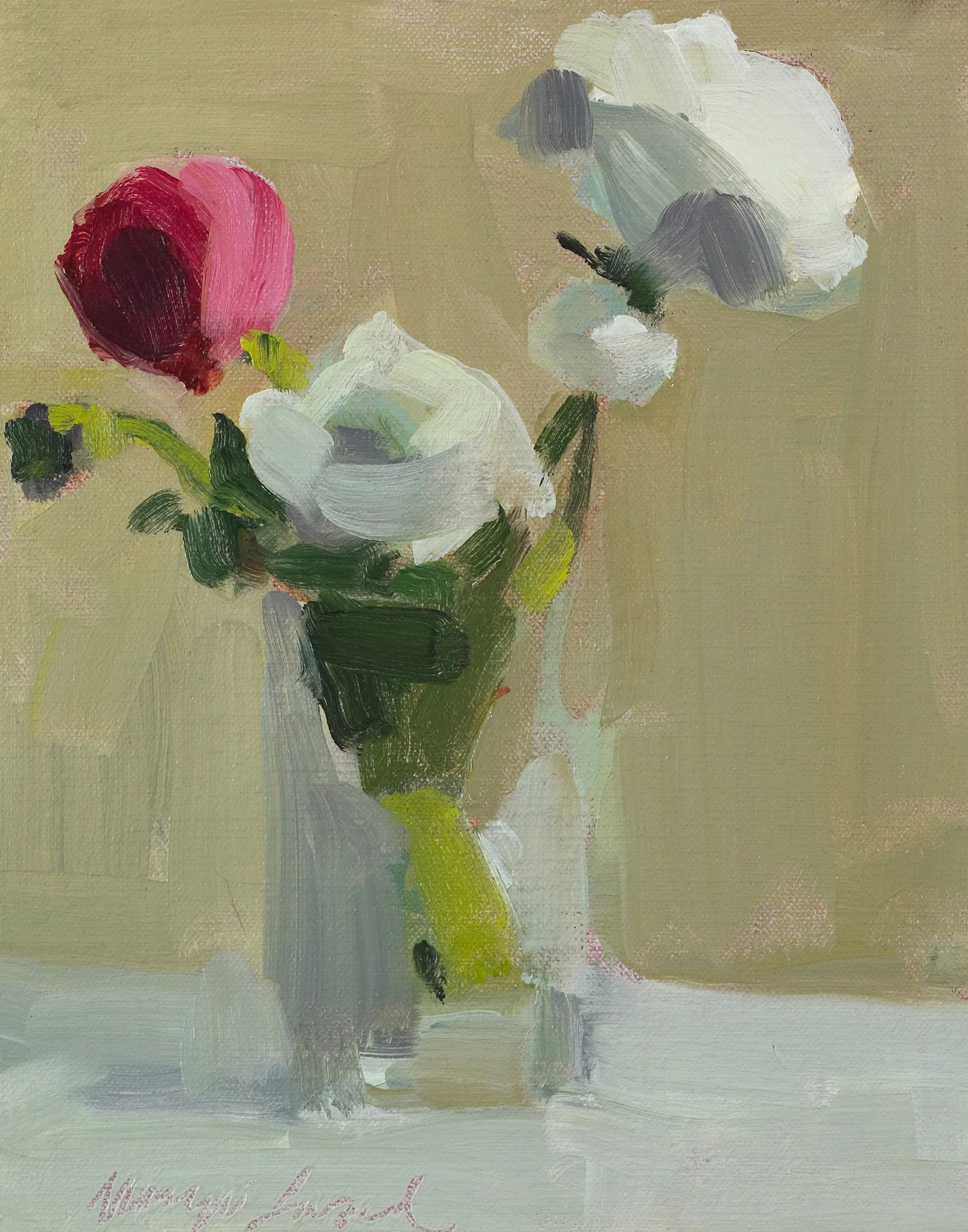 Pink and White Ranunculus