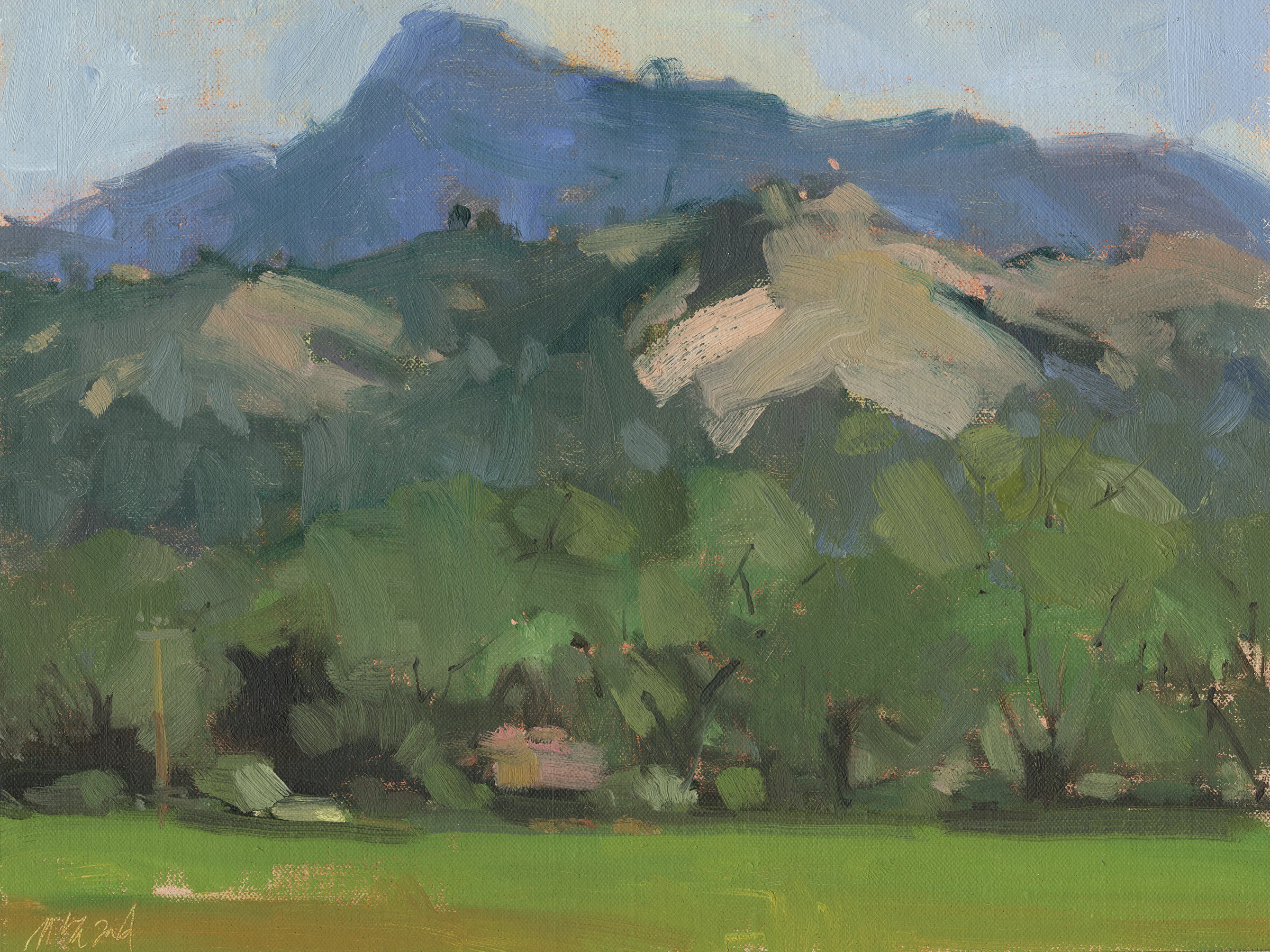 California Oaks with Mt St Helena