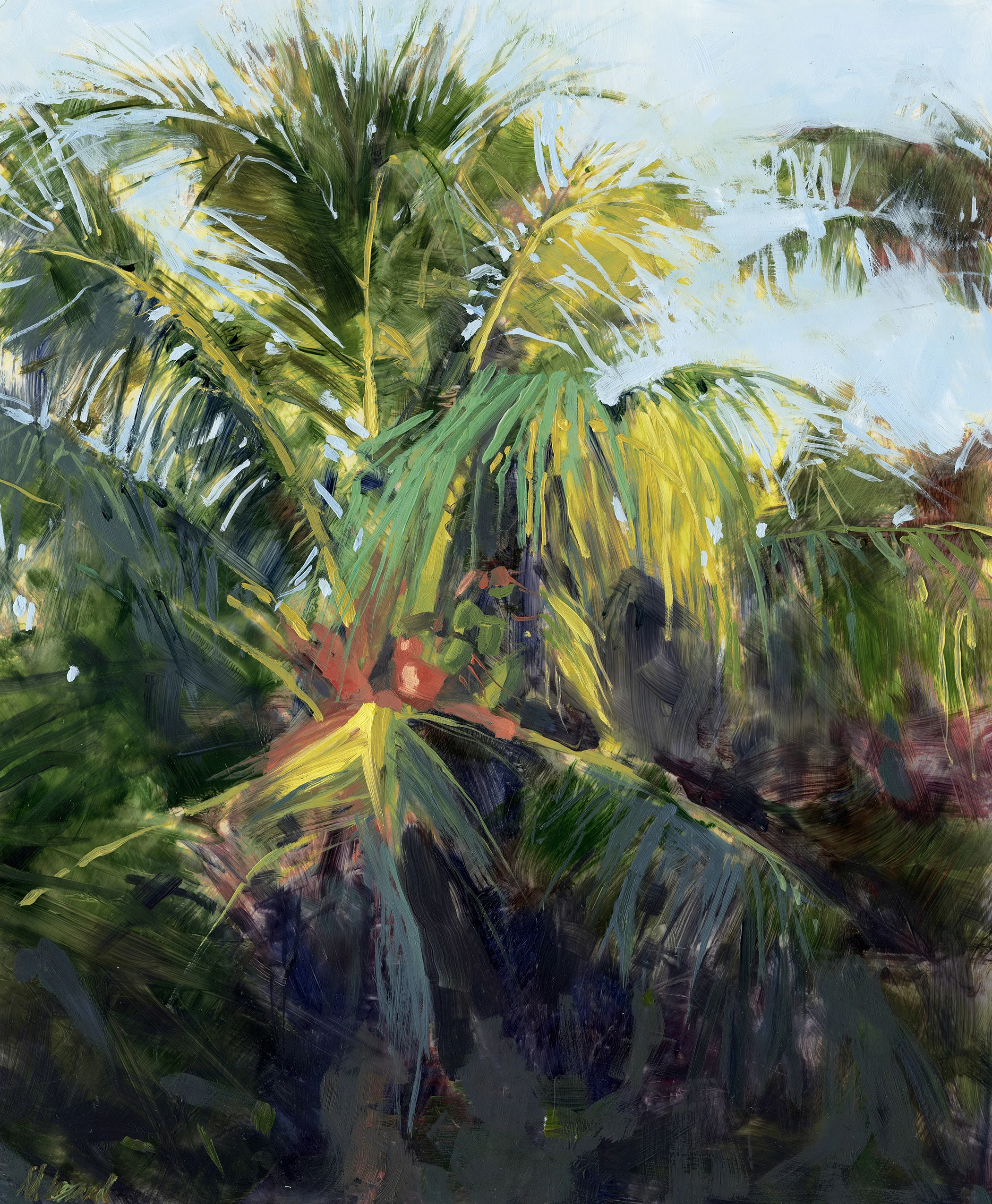 Backyard Palm