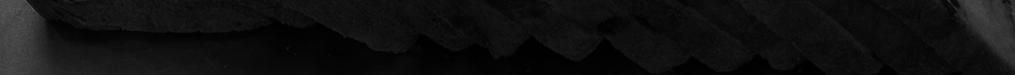 Raisin Bread3.png
