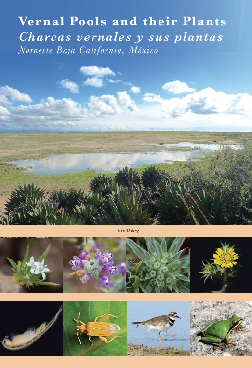 Screen Shot 2018-01-03 at 5.57.38 PM.png