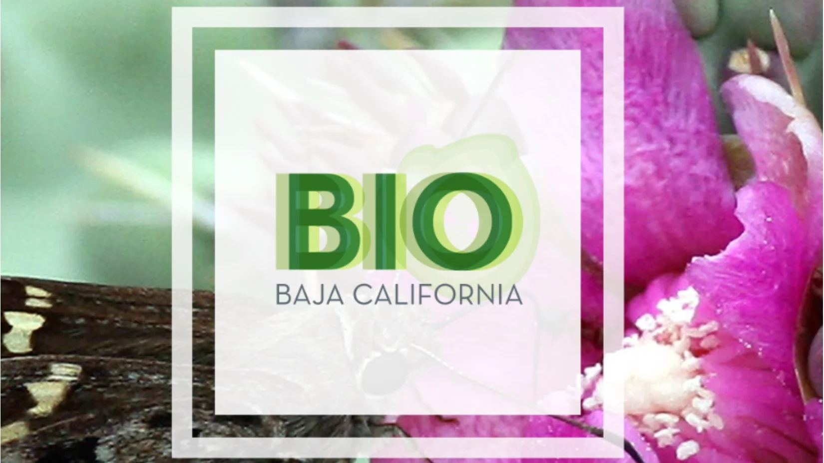 logo biobc.jpg