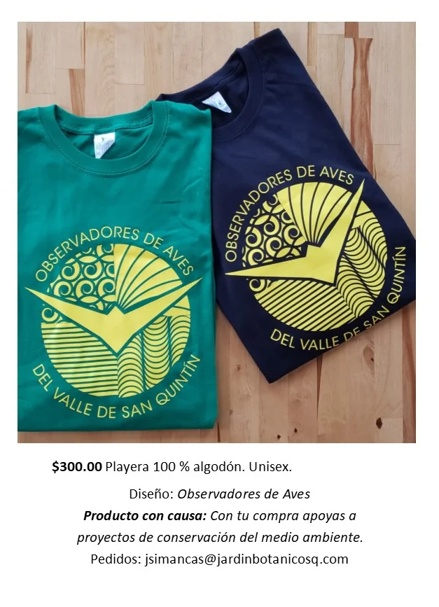 Playera Observadores de Aves SQ.jpg