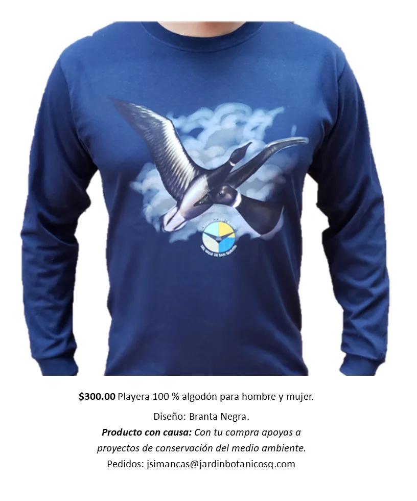 Playera Branta.jpg