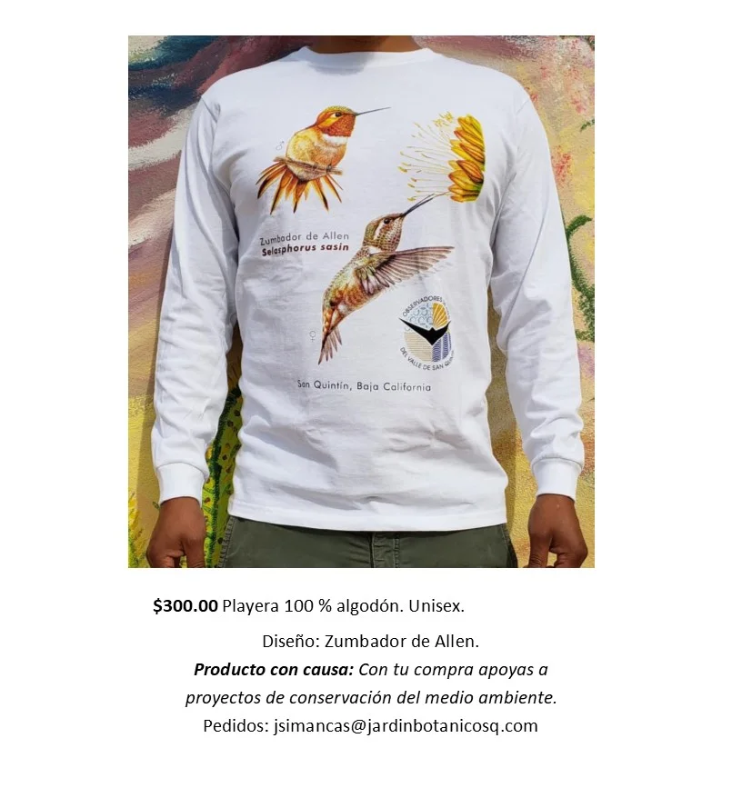 Playera de Zumbador de Allen.jpg