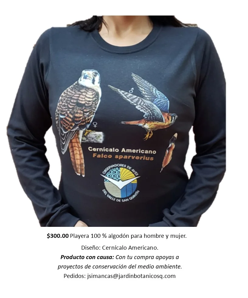 Playera de Cernícalo Americano.jpg