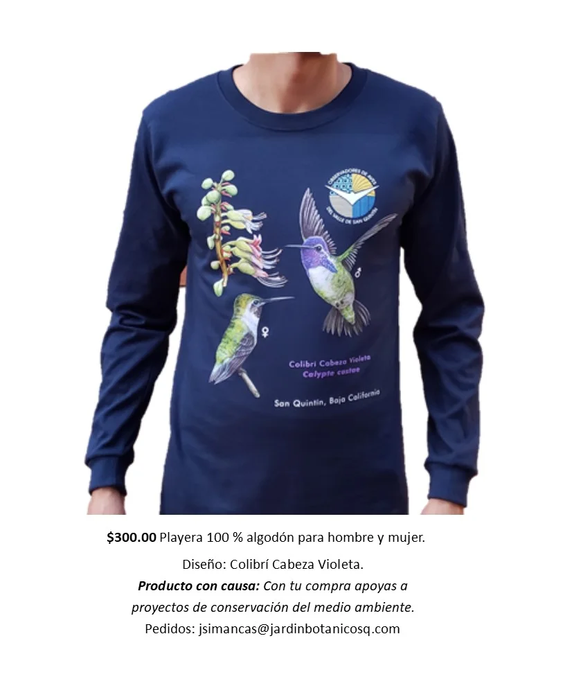 Playera de Colibri cabeza violeta.jpg