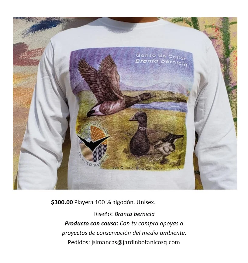Playeras de branta negra.jpg