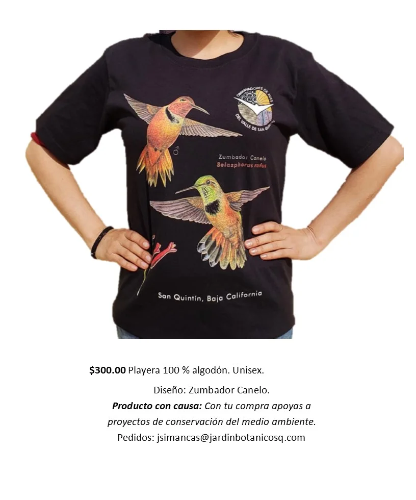 Playera de Zumbador Canelo.jpg