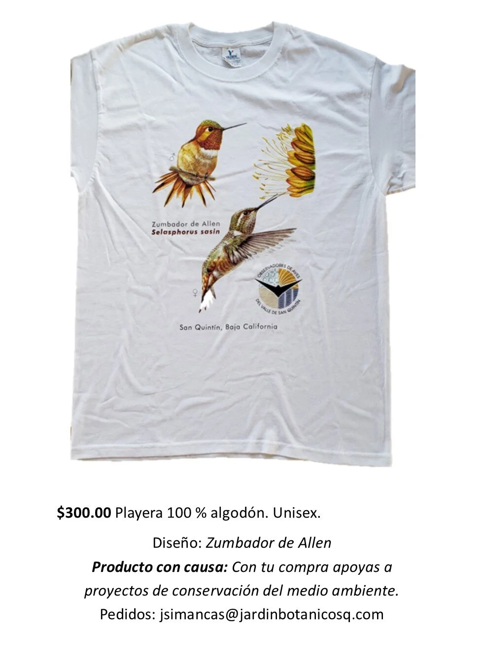 colibri de allen, playera.jpg
