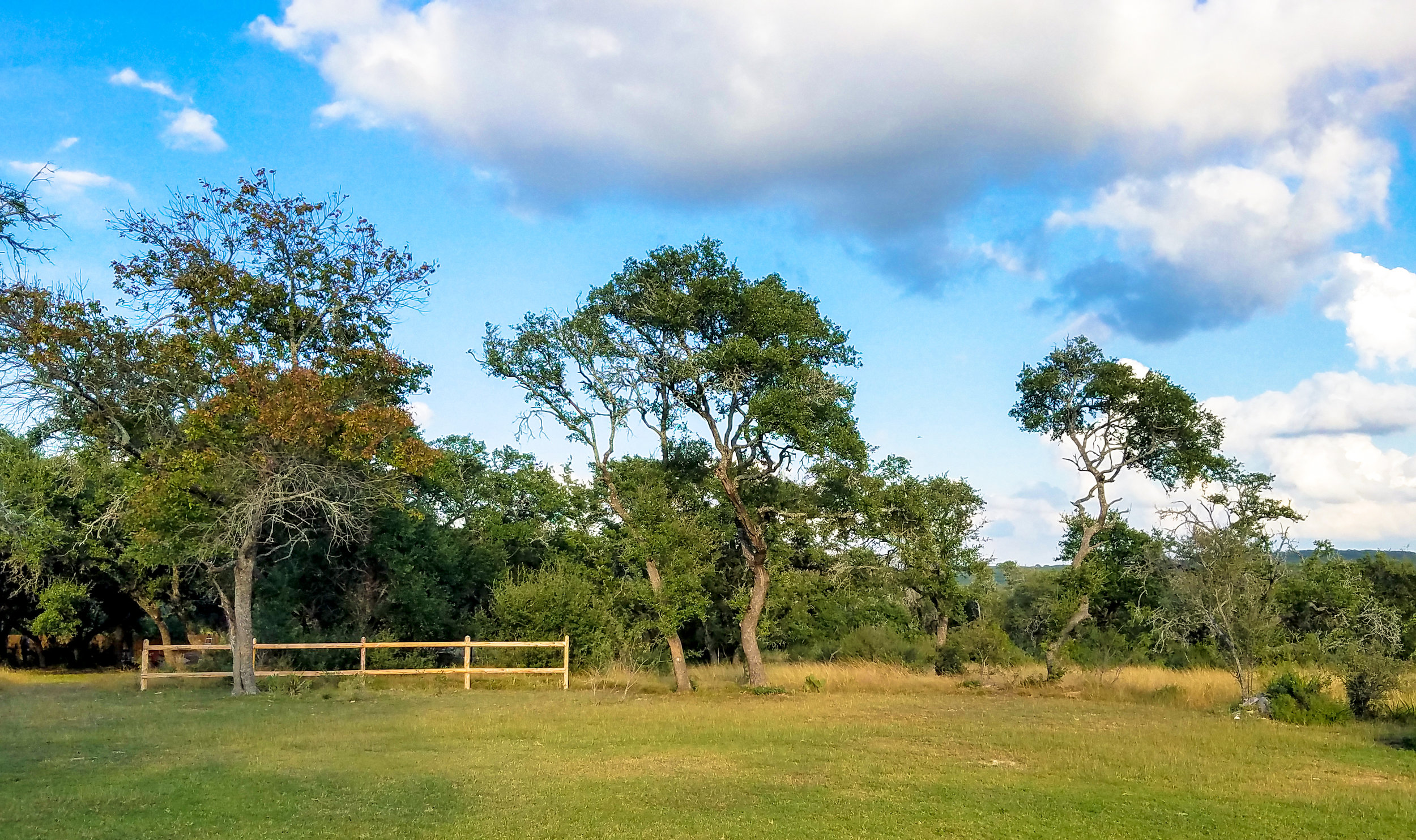 Backyard1_EDIT1.jpg