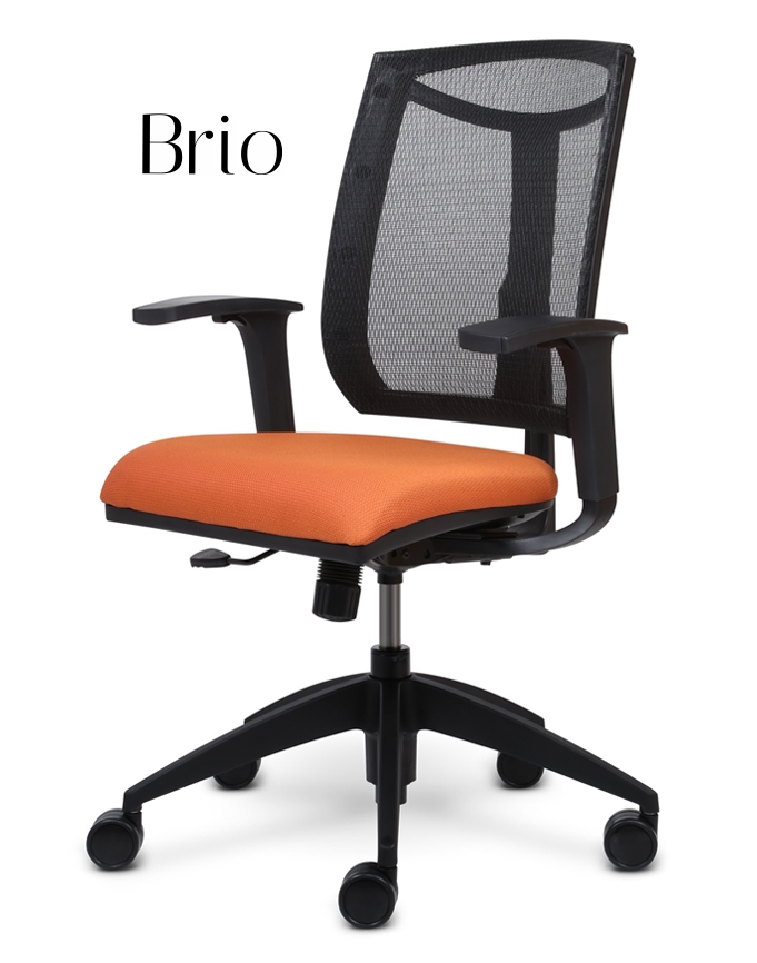 Brio Series