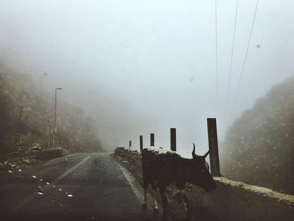 Chaloos Road