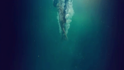 PYCM_Dissolution.gif