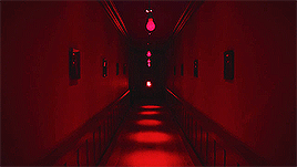 tumblr_o65zrgoTr91rtup1qo2_400.gif