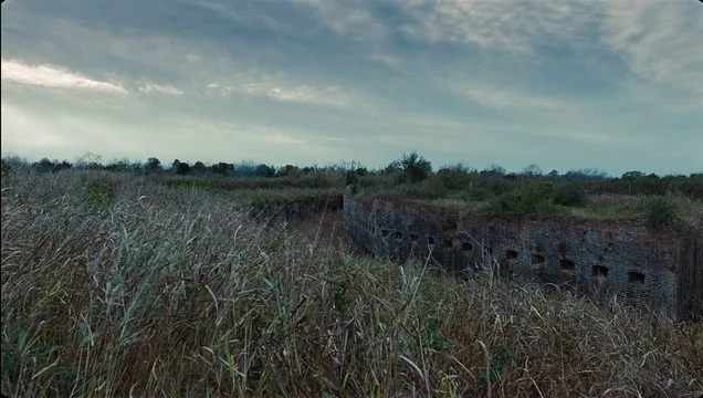PYCM_plantation.jpg