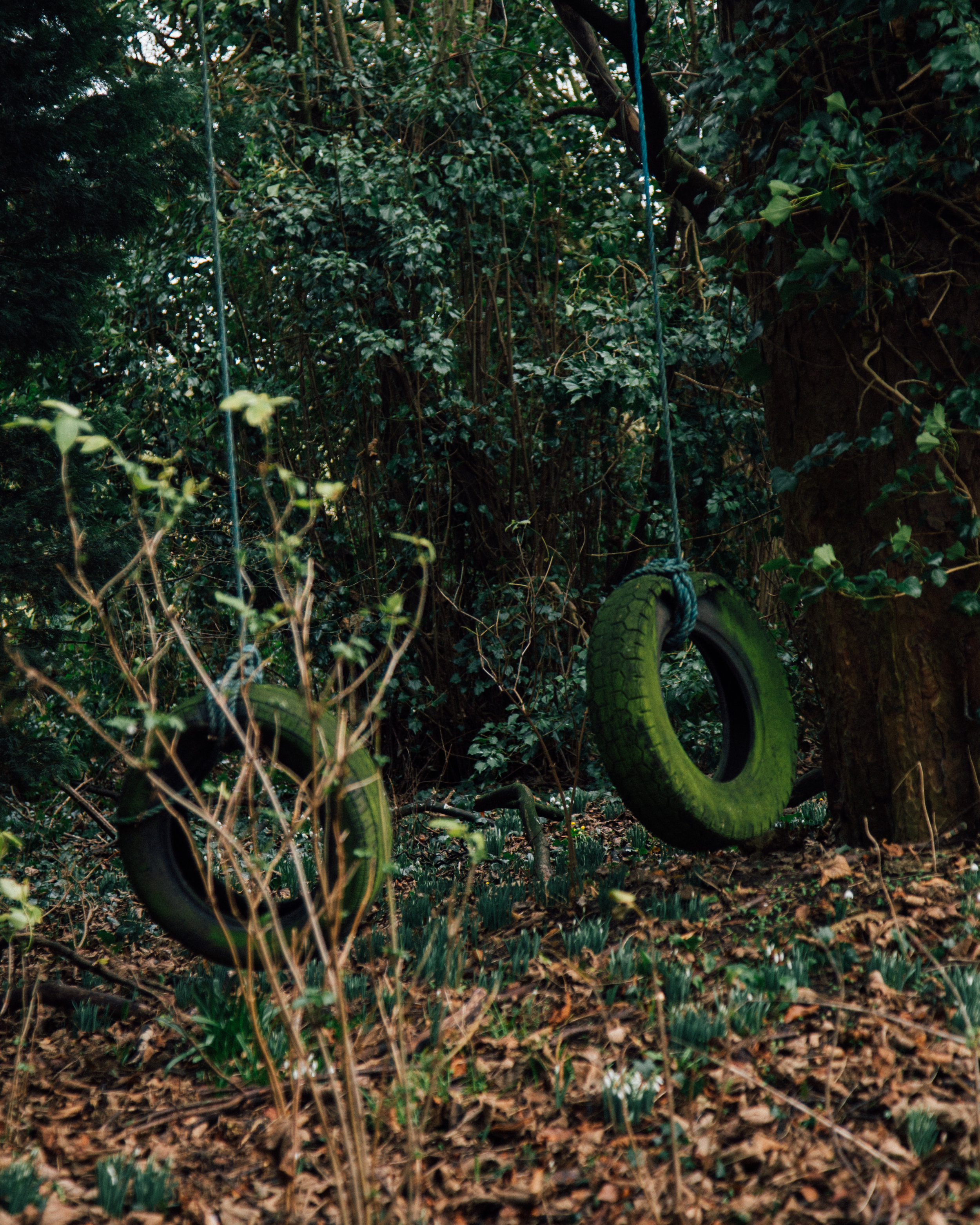 Confession + Tire Swing
