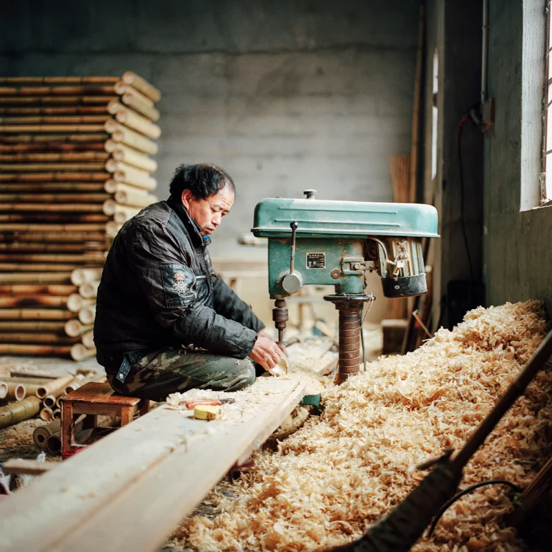 jungblut_bamboo_07.jpg