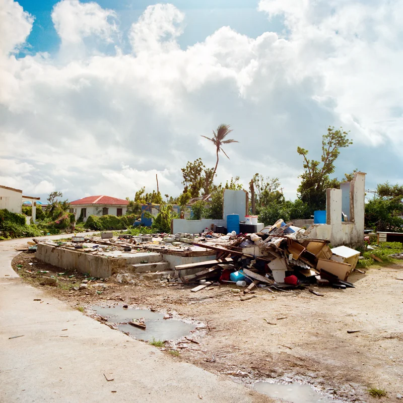 jonas_barbuda_11.jpg