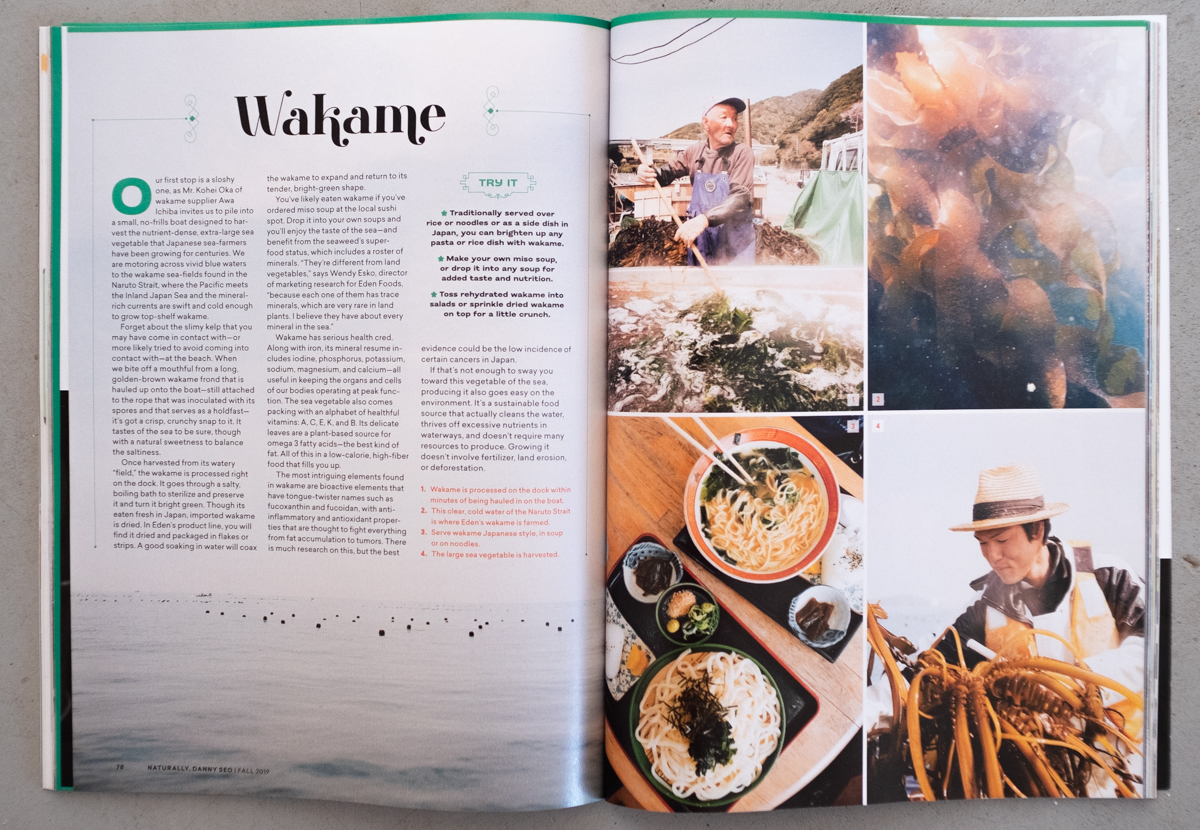 jungblut_tearsheet_190831_003_.jpg