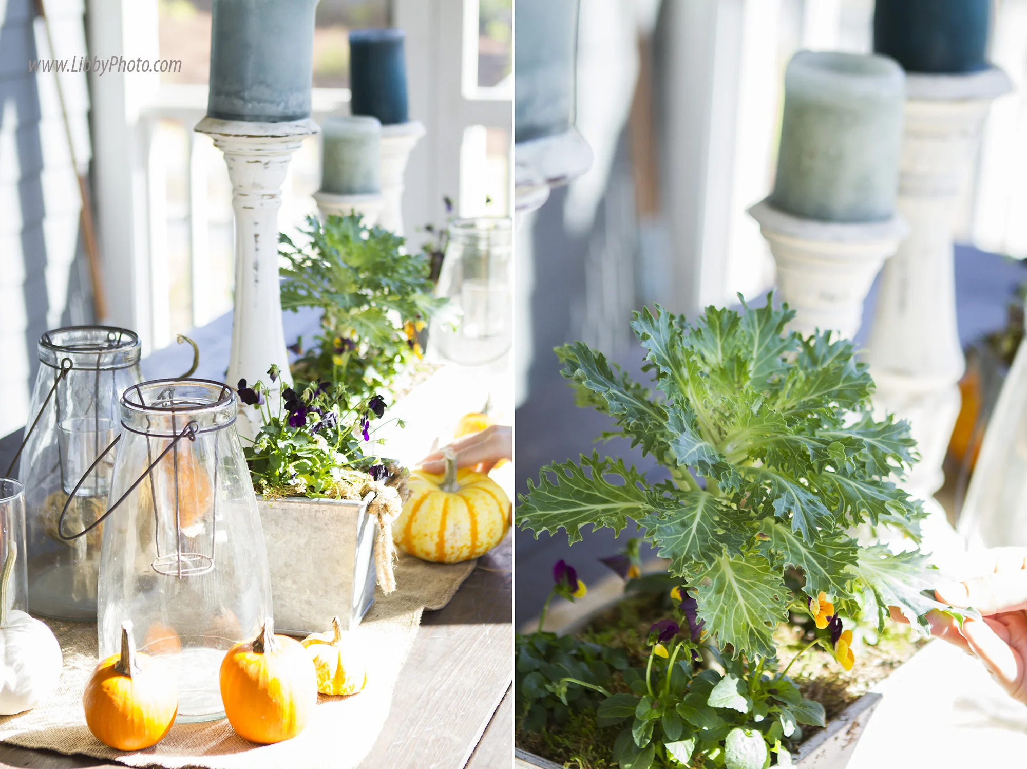 libbyphoto2222 (20).jpg