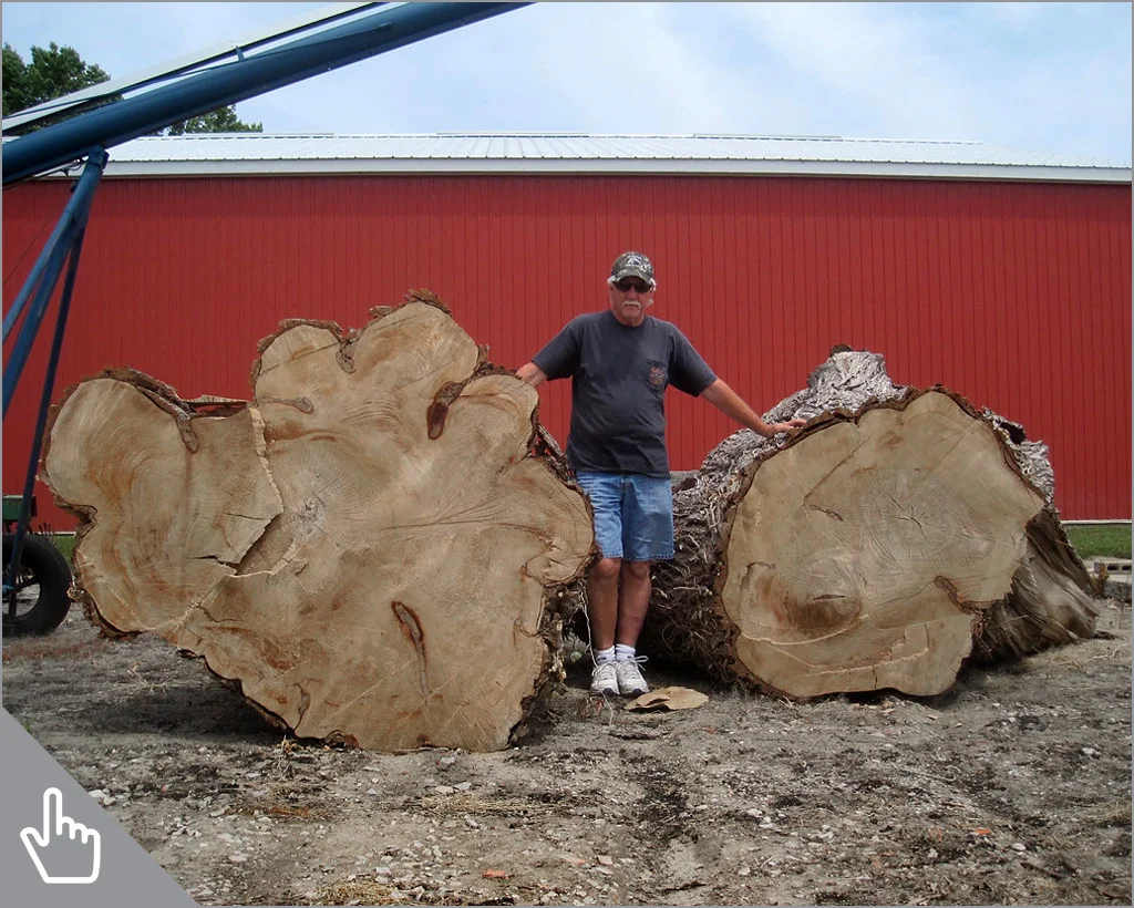 0_thumb_avail_frontrd-elm-ouellette_001.jpg