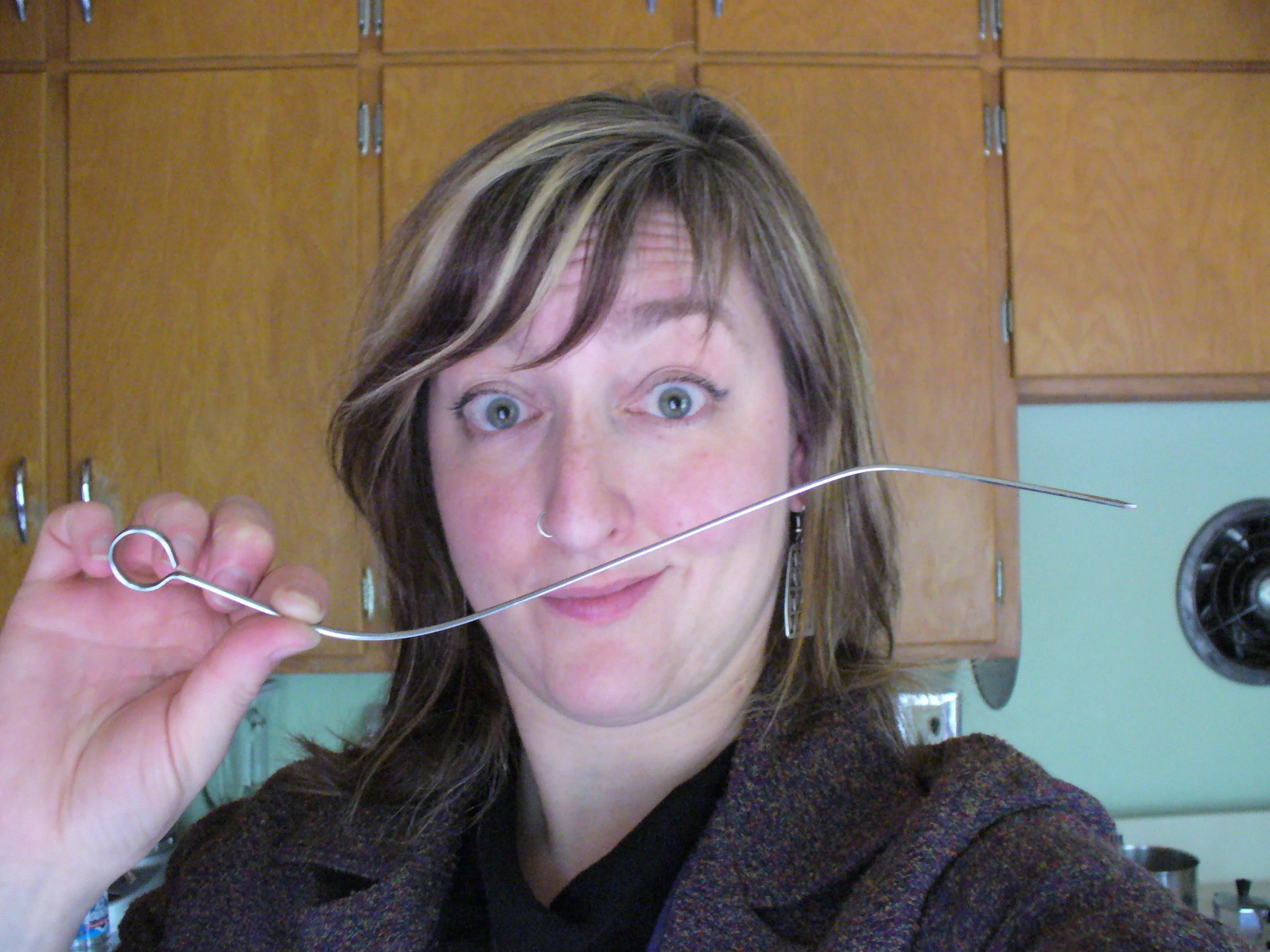 funny skewer, funny face.JPG