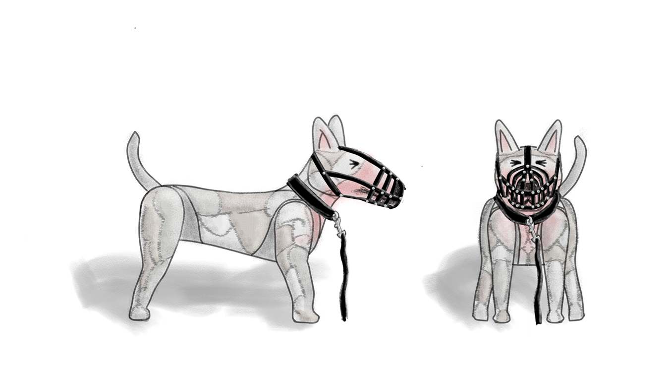 Bull Terrier Design Cropped.png