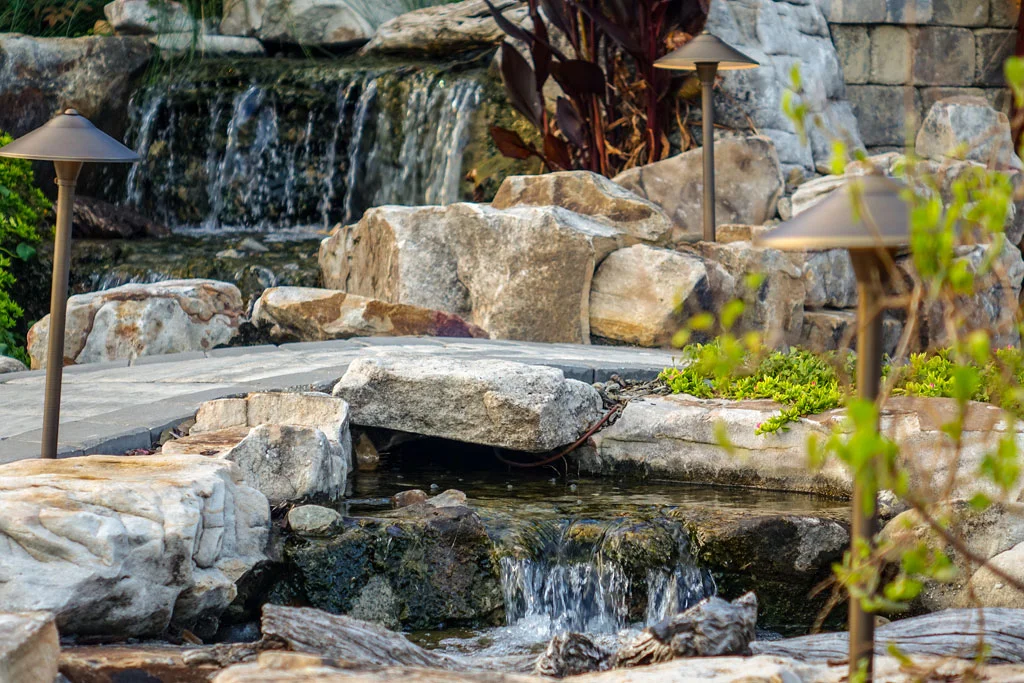 View more photos from this project