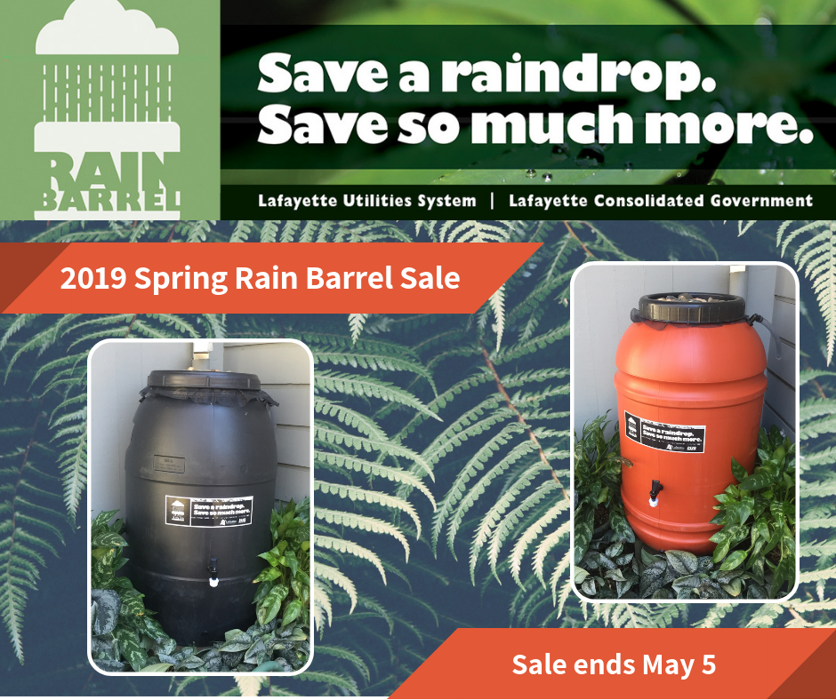 Popular Rain Barrel Program Back in Limited Supply
