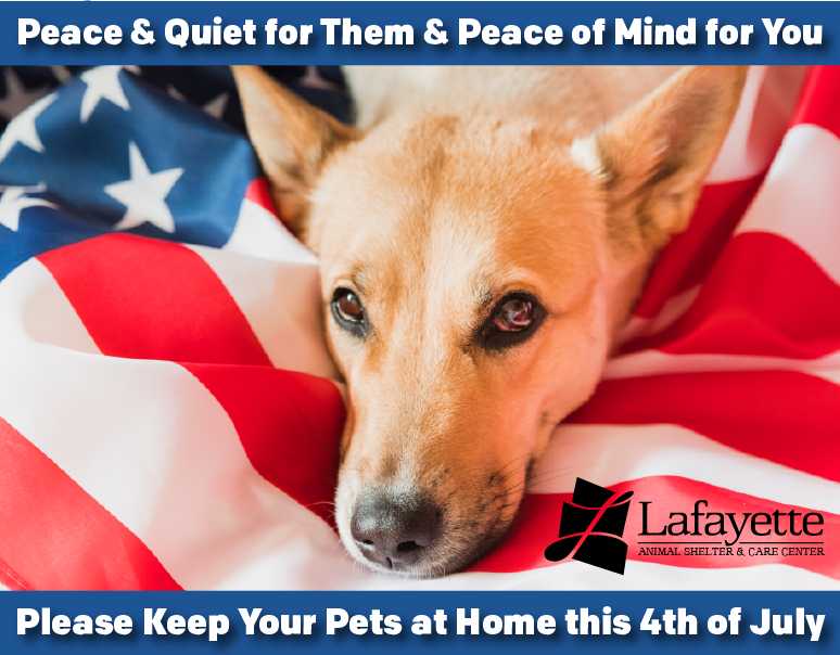 Fourth of July Prep for Your Pets