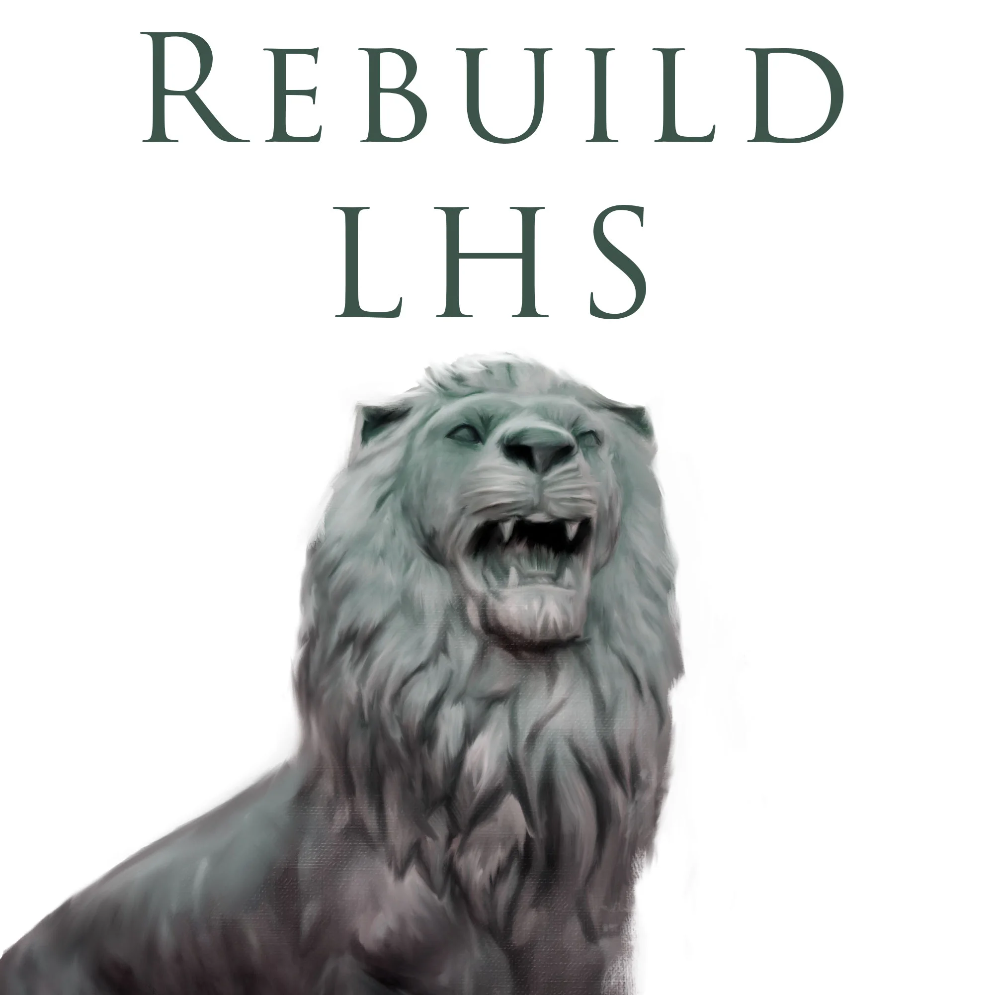 “Rebuild LHS”